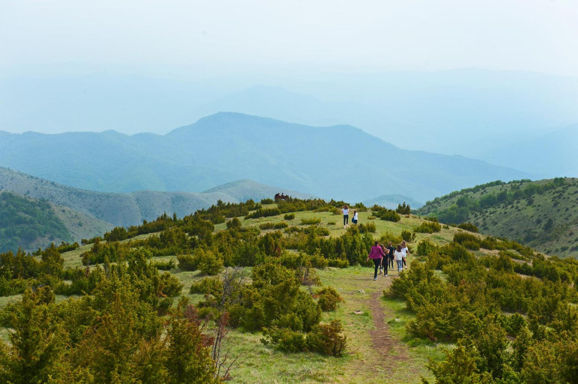 Apartmani Kraljevi Cardaci Kopaonik Bagian luar foto