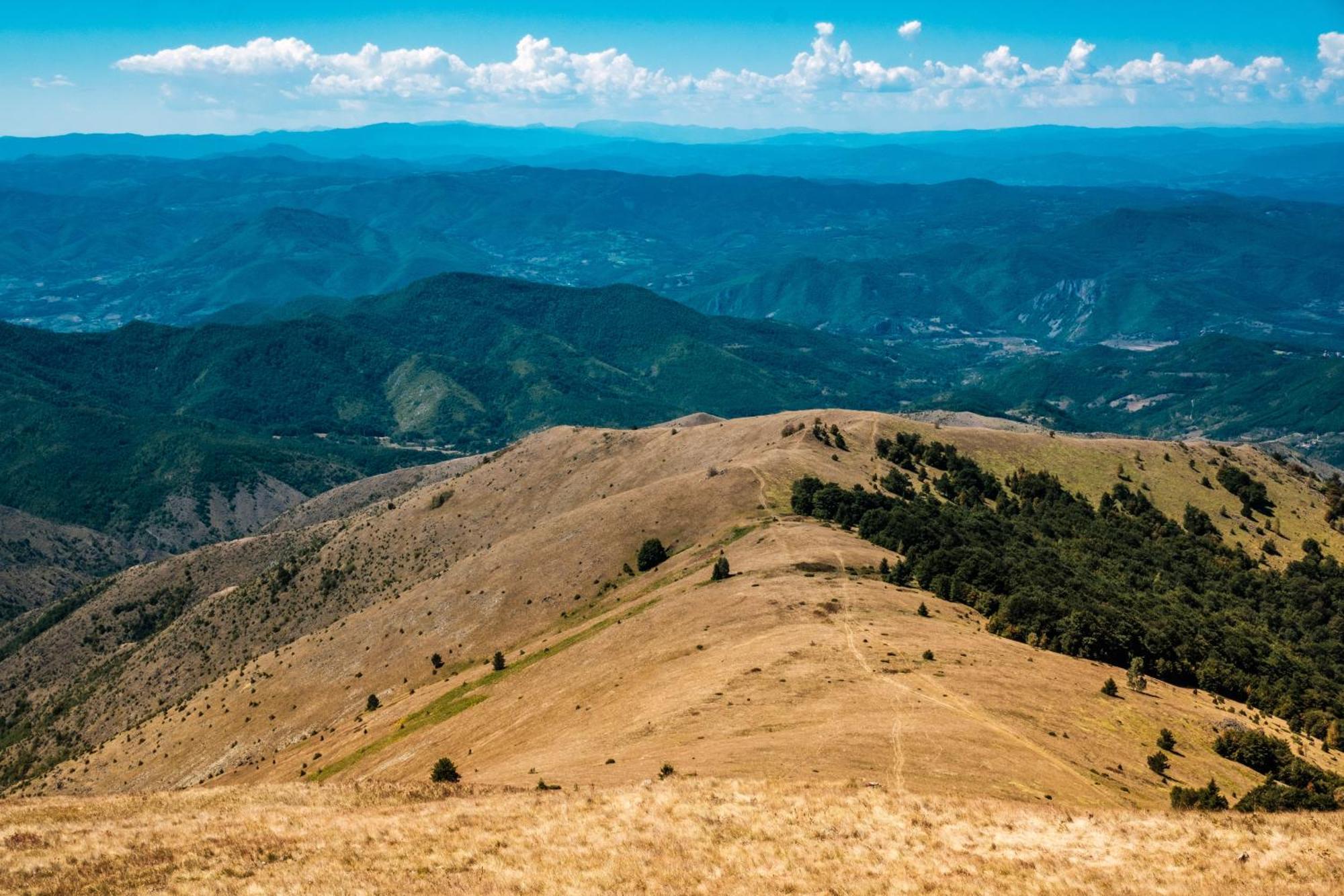 Apartmani Kraljevi Cardaci Kopaonik Bagian luar foto