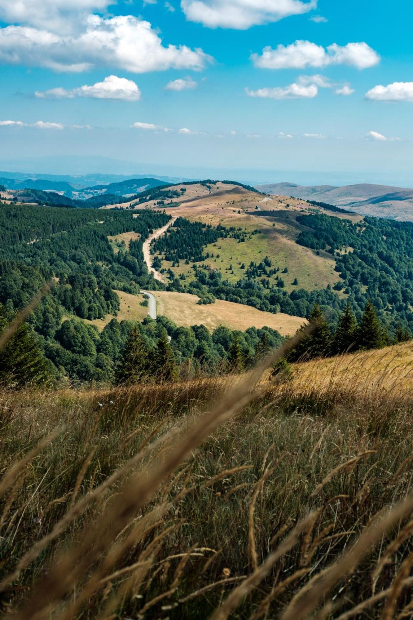 Apartmani Kraljevi Cardaci Kopaonik Bagian luar foto