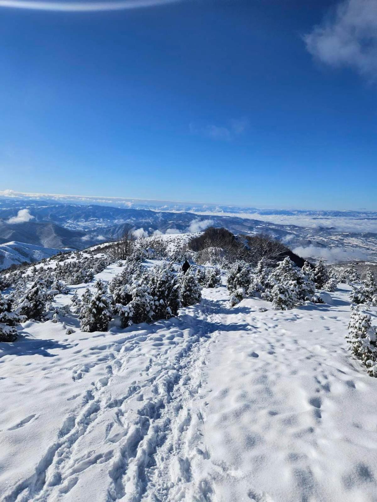 Apartmani Kraljevi Cardaci Kopaonik Bagian luar foto